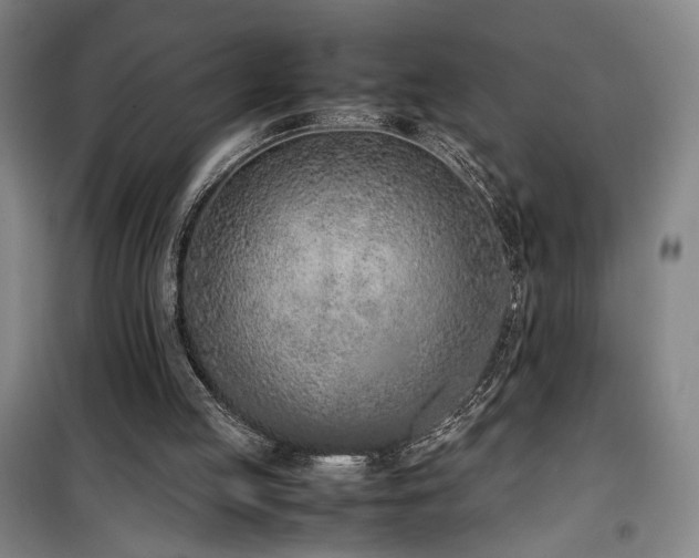 X0000100190053200805301257