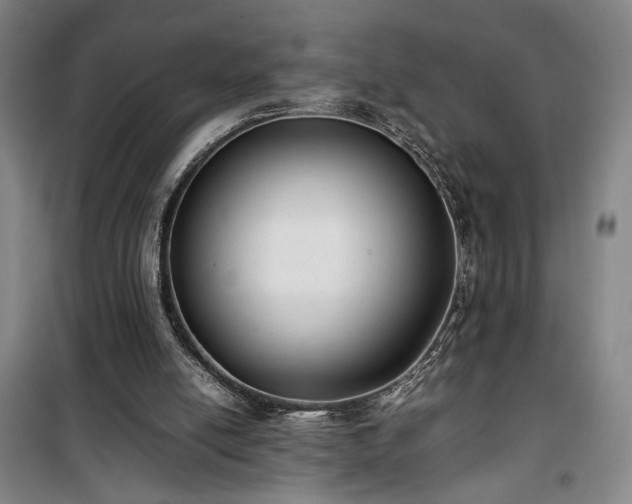 X0000100190054200805301257