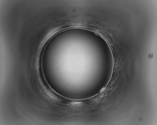 X0000100190055200805301257