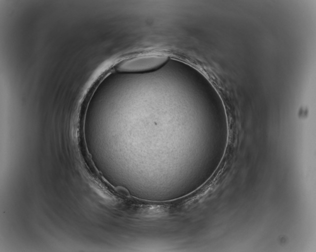 X0000100190056200805301257