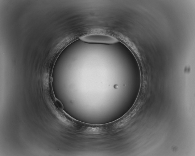 X0000100190057200805301257