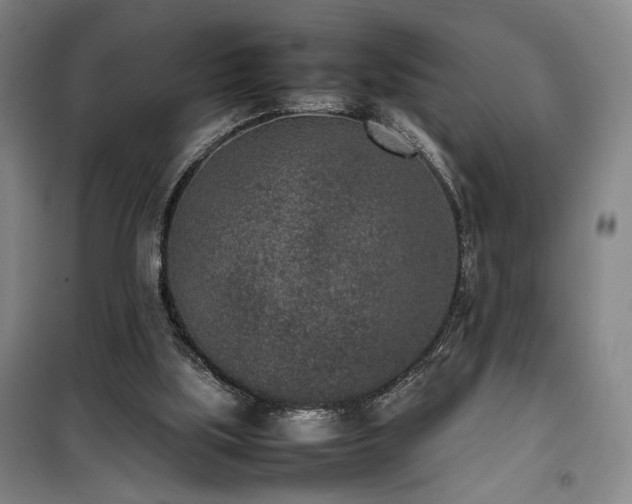 X0000100190059200805301257