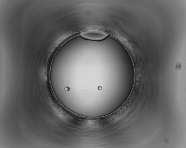 X0000100190060200805301257