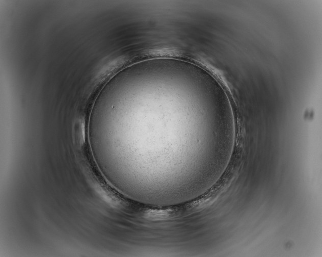 X0000100190061200805301257