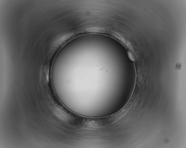 X0000100190062200805301257