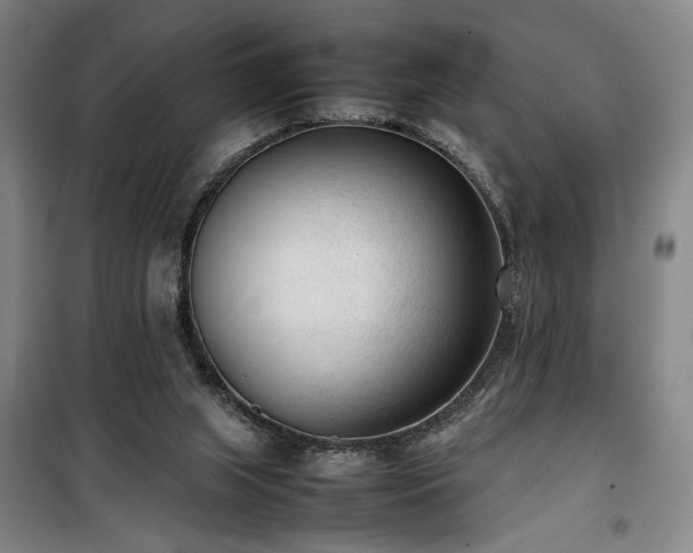 X0000100190063200805301257