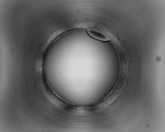 X0000100190064200805301257