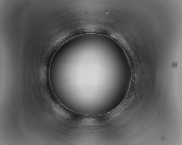 X0000100190066200805301257