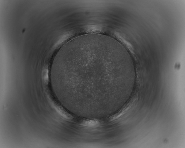 X0000100190067200805301257