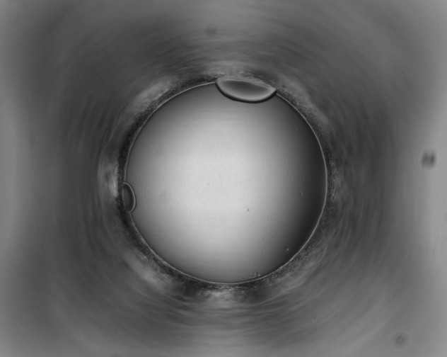 X0000100190068200805301257