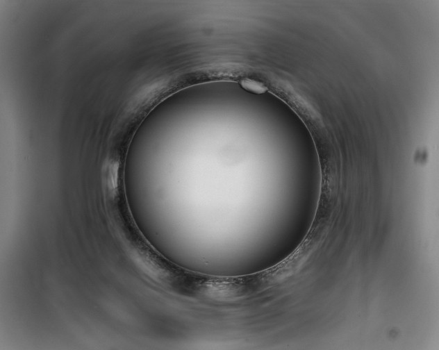 X0000100190070200805301257