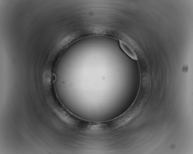 X0000100190072200805301257