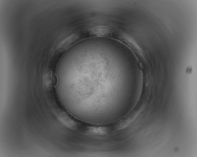 X0000100190073200805301257