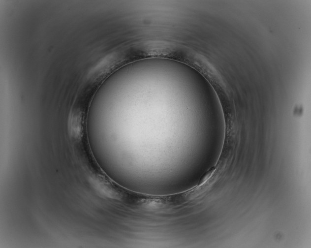 X0000100190074200805301257