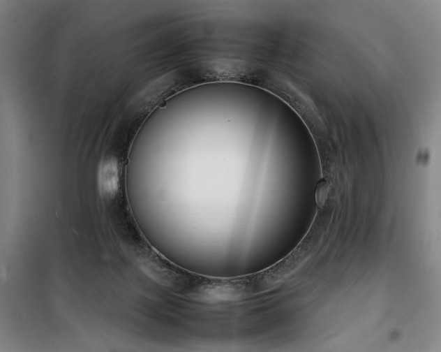 X0000100190075200805301257