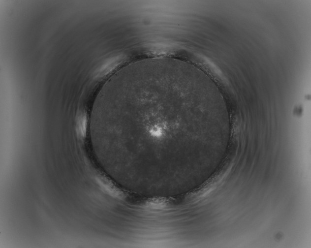 X0000100190076200805301257