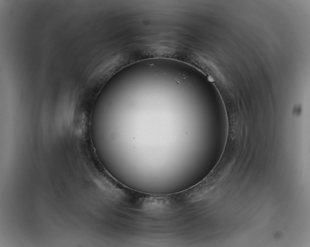 X0000100190077200805301257