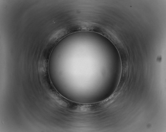 X0000100190078200805301257