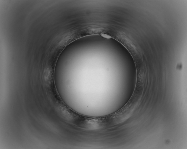 X0000100190079200805301257