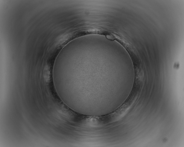 X0000100190080200805301257