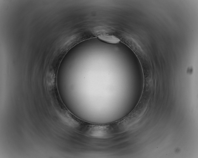 X0000100190081200805301257