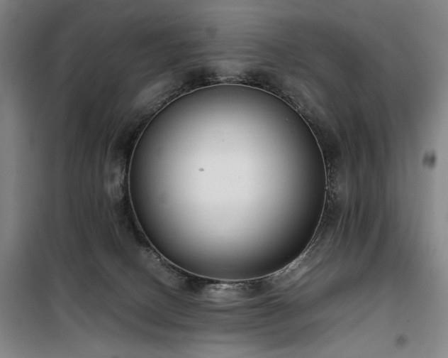 X0000100190082200805301257