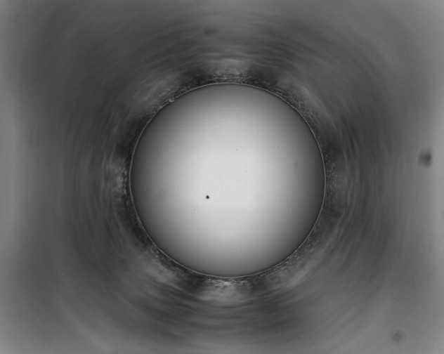 X0000100190083200805301257