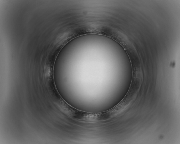 X0000100190084200805301257