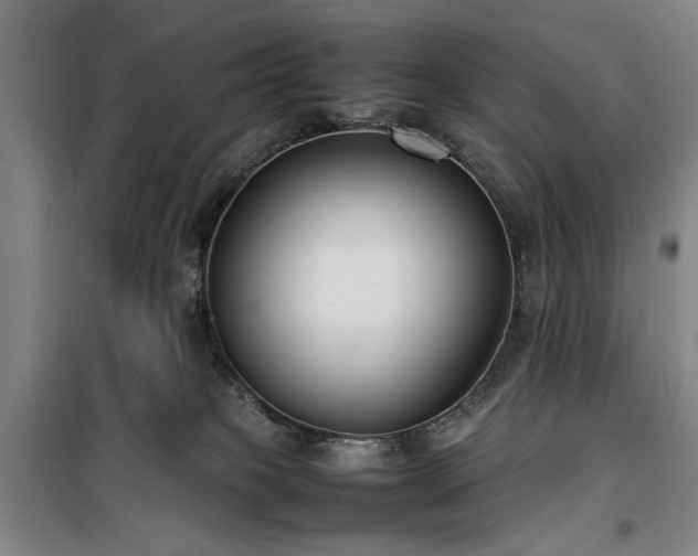 X0000100190085200805301257