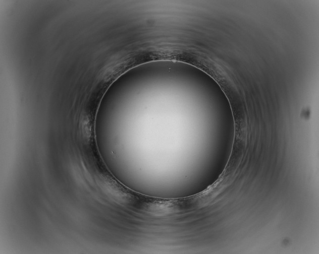 X0000100190086200805301257