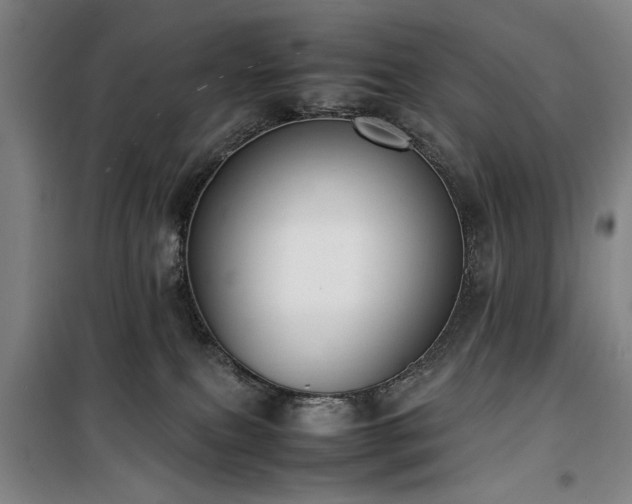 X0000100190087200805301257
