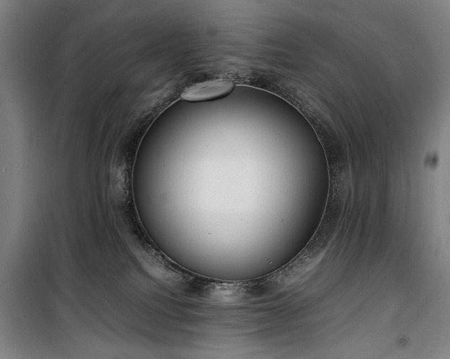 X0000100190088200805301257