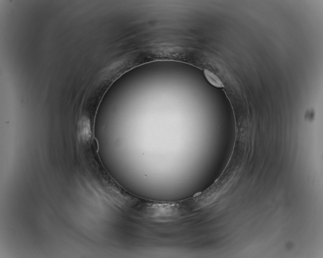 X0000100190089200805301257
