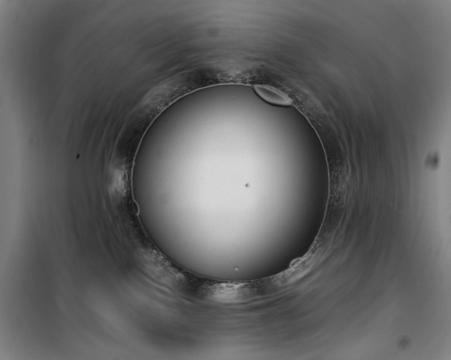X0000100190090200805301257