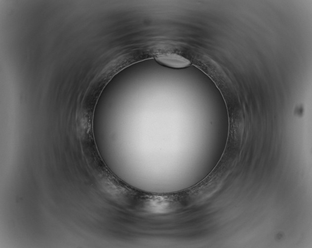 X0000100190091200805301257
