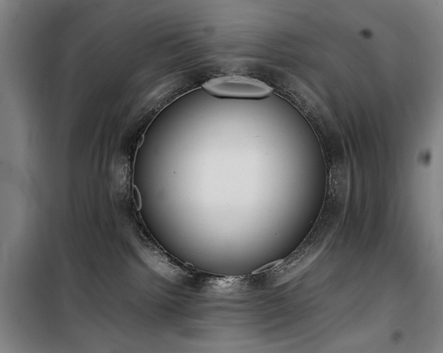 X0000100190092200805301257