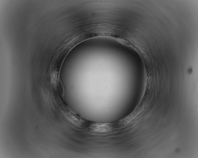 X0000100190093200805301257
