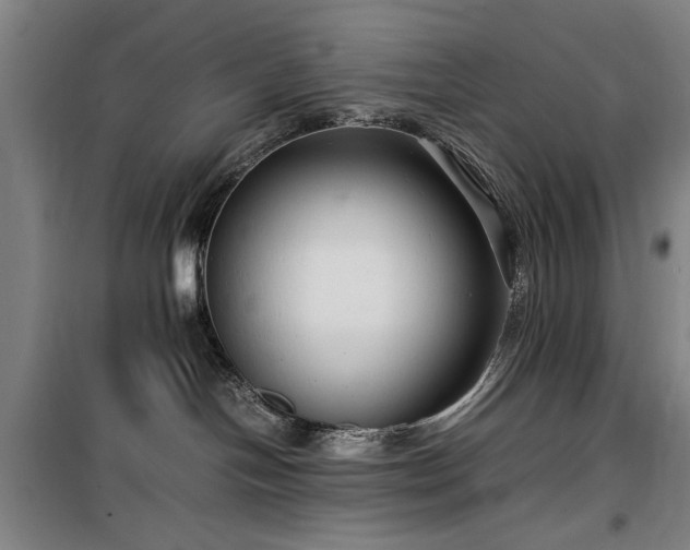 X0000100190094200805301257