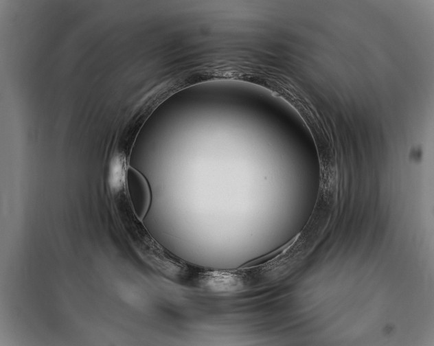 X0000100190095200805301257