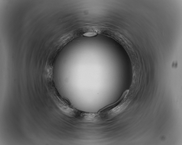 X0000100190096200805301257
