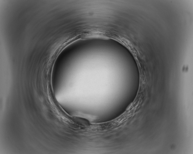 X0000100190097200805301257