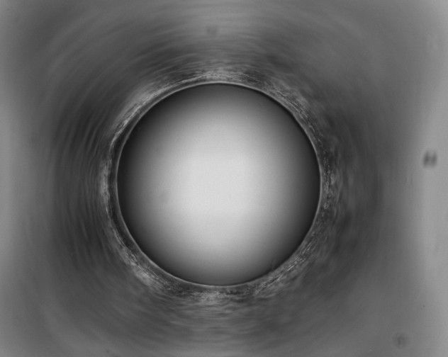 X0000100190098200805301257