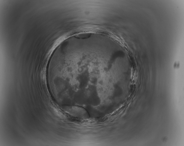 X0000100190099200805301257