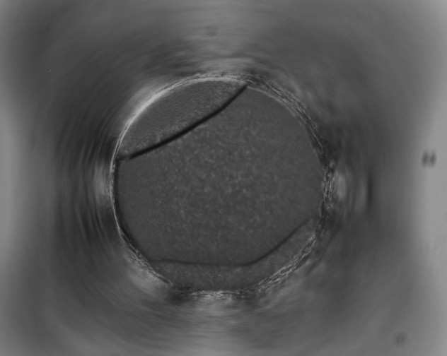 X0000100190100200805301257