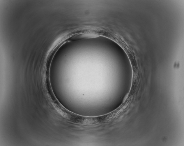 X0000100190101200805301257