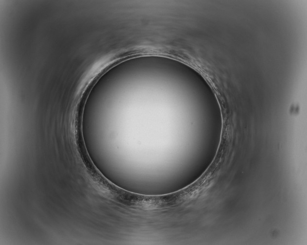 X0000100190103200805301257