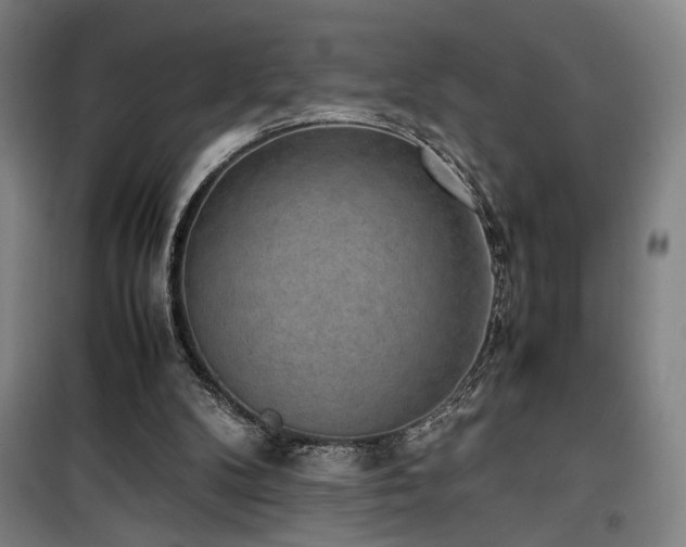 X0000100190104200805301257