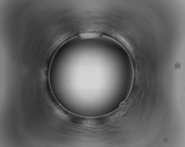 X0000100190105200805301257