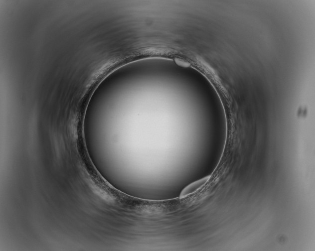 X0000100190106200805301256