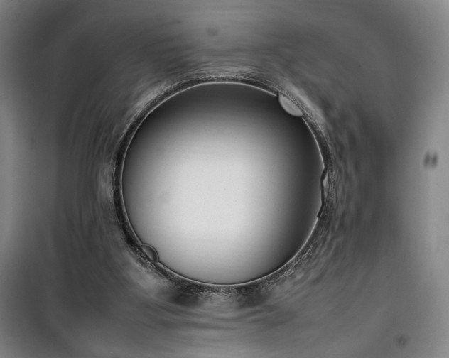 X0000100190107200805301256
